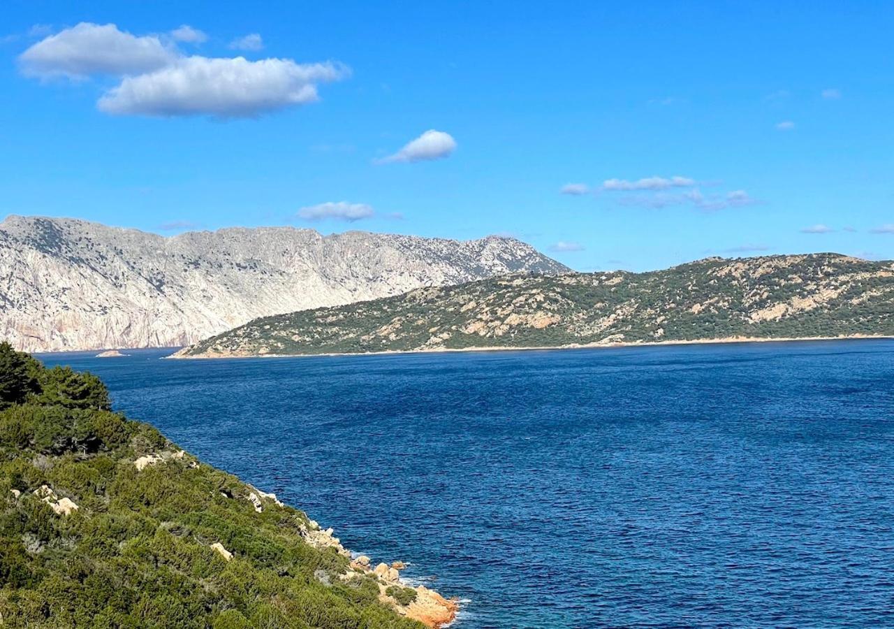 SAN TEODORO PUNTA EST DELIZIOSO MONOLOCALE VISTA MARe San Teodoro (Sardinia) Exterior foto