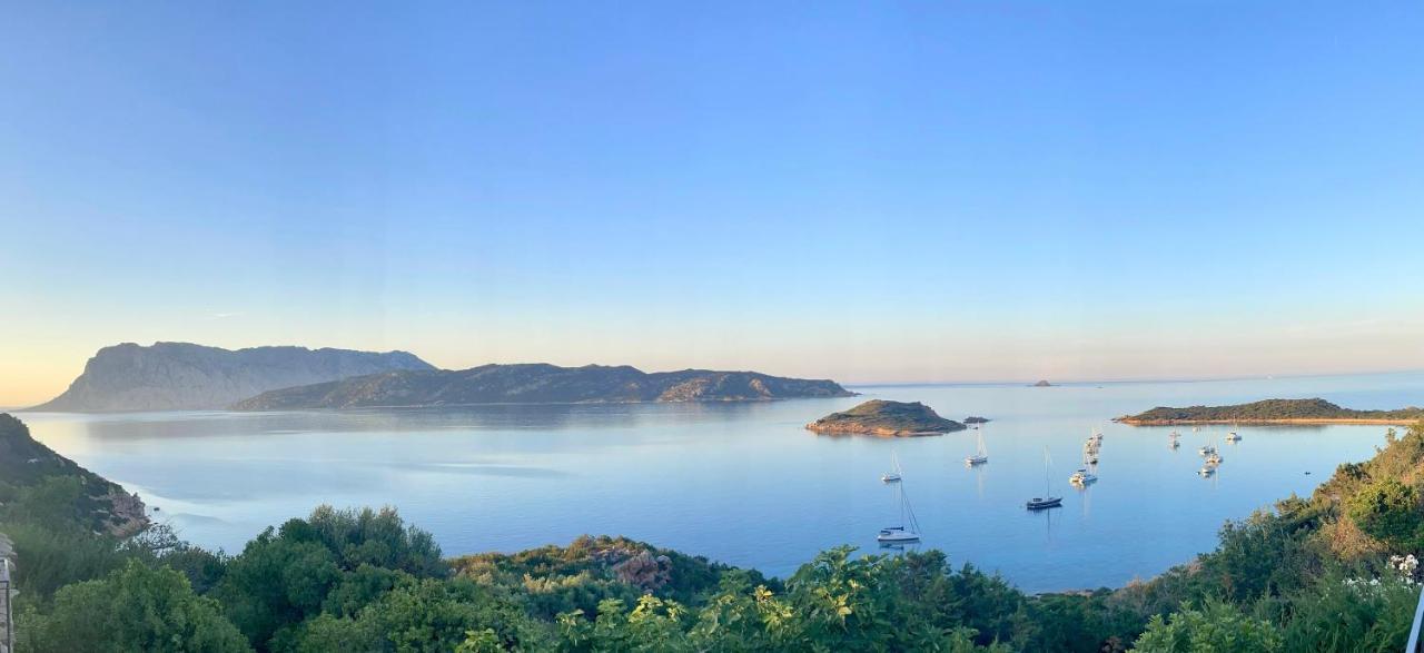 SAN TEODORO PUNTA EST DELIZIOSO MONOLOCALE VISTA MARe San Teodoro (Sardinia) Exterior foto